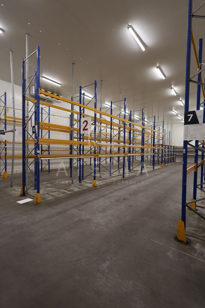 Powierzchnia magazynowa(chłodnie) na wynajem (6)