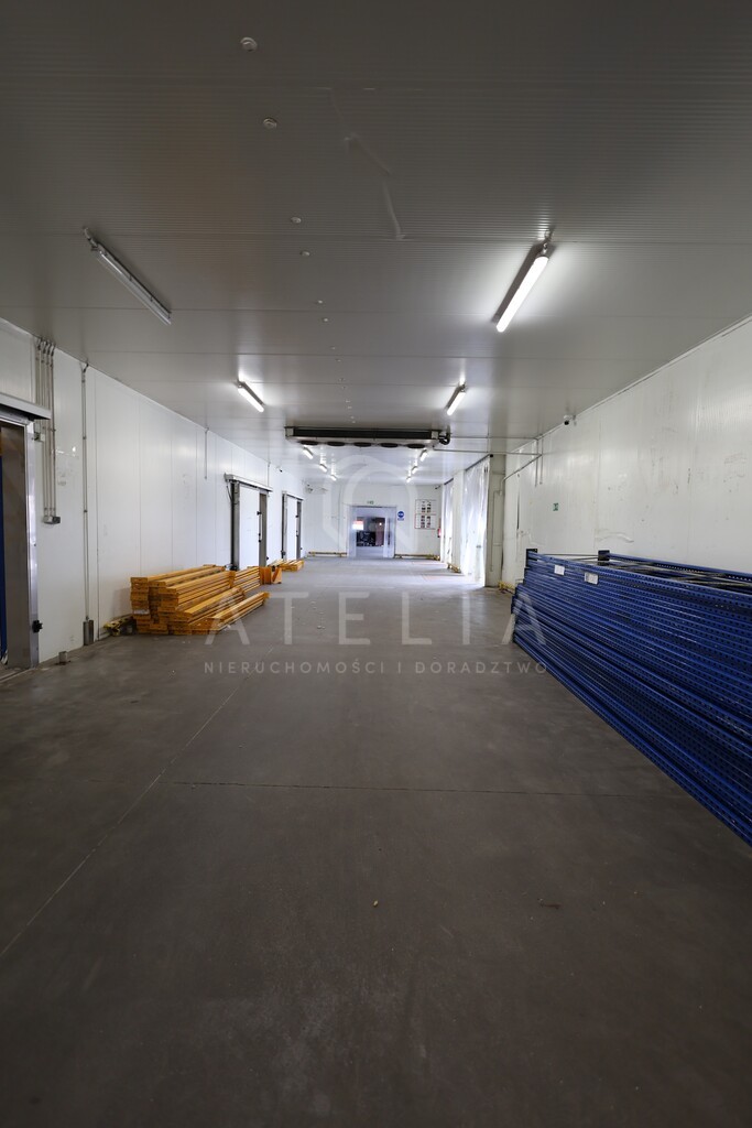 Powierzchnia magazynowa(chłodnie) na wynajem (7)