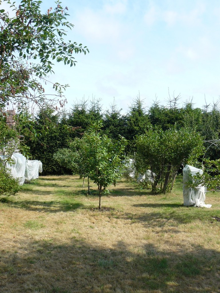 Wolno stojący, 155 m2, Drezdenko  (13)