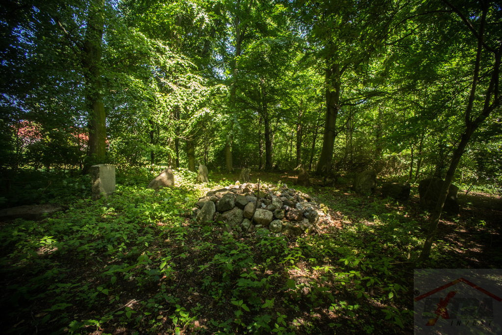 Inwestycja  21 ha gruntów z pałacem i parkiem (10)