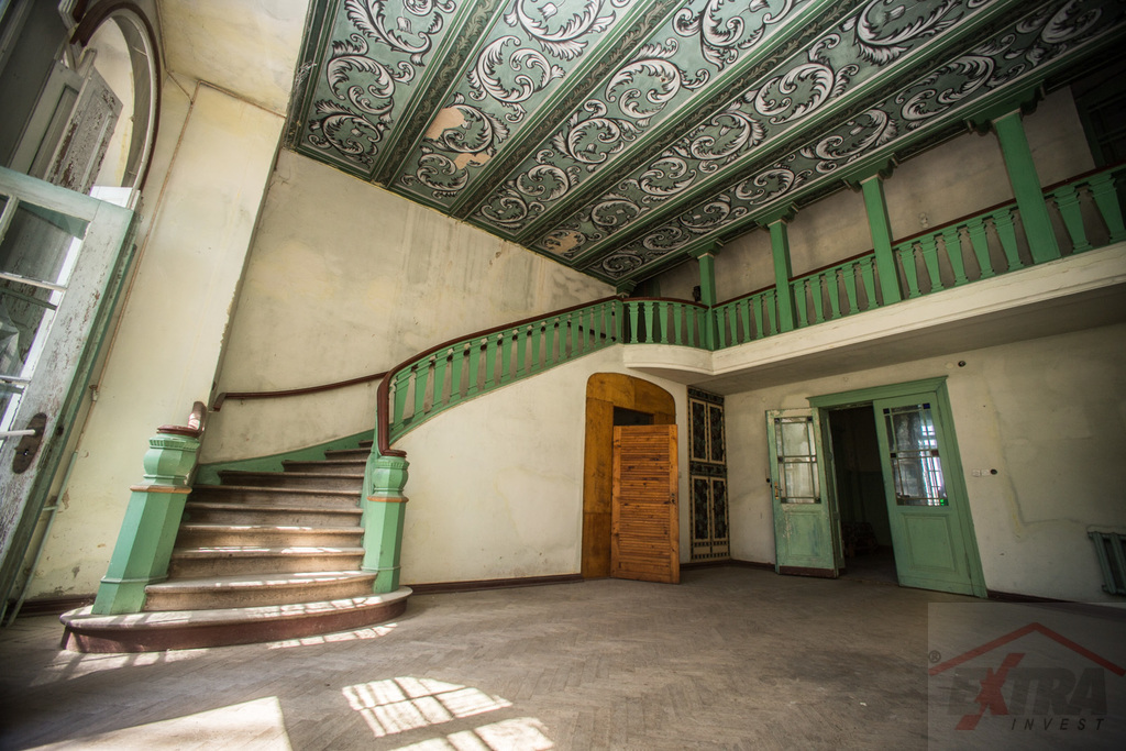 Inwestycja  21 ha gruntów z pałacem i parkiem (11)