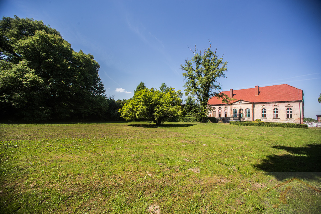 Inwestycja  21 ha gruntów z pałacem i parkiem (3)
