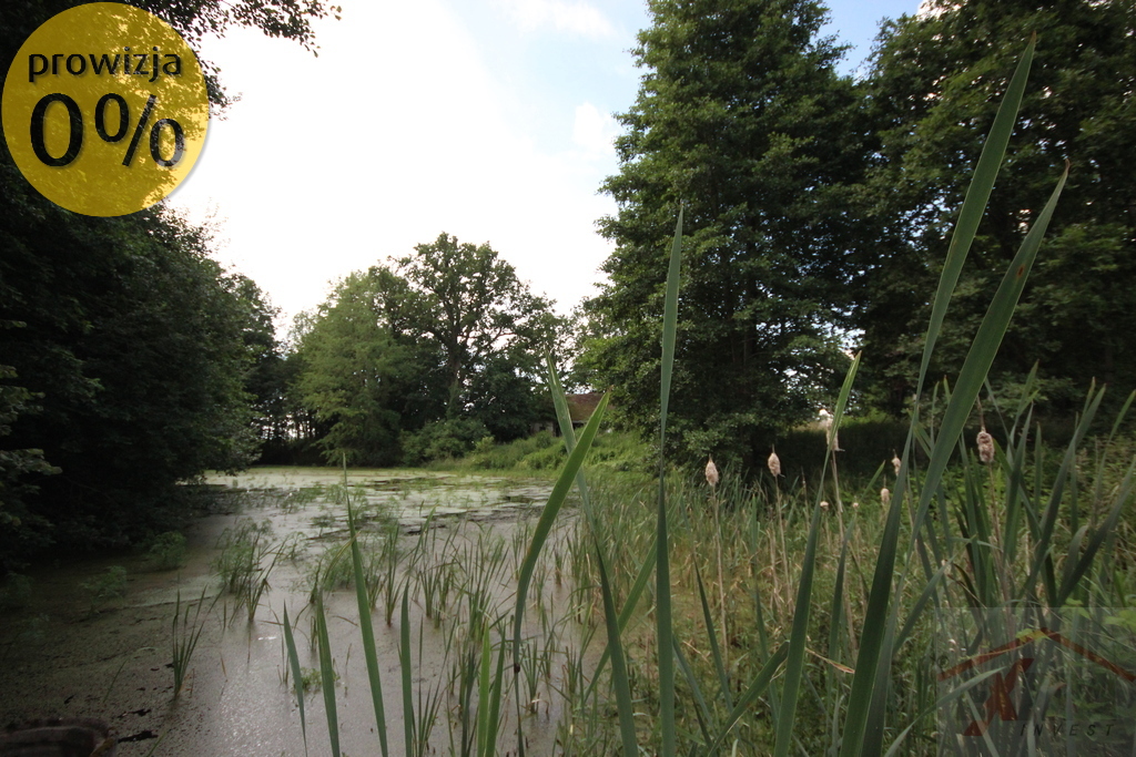 Majątek koło Choszczna w tym 21 ha ziemi . (12)