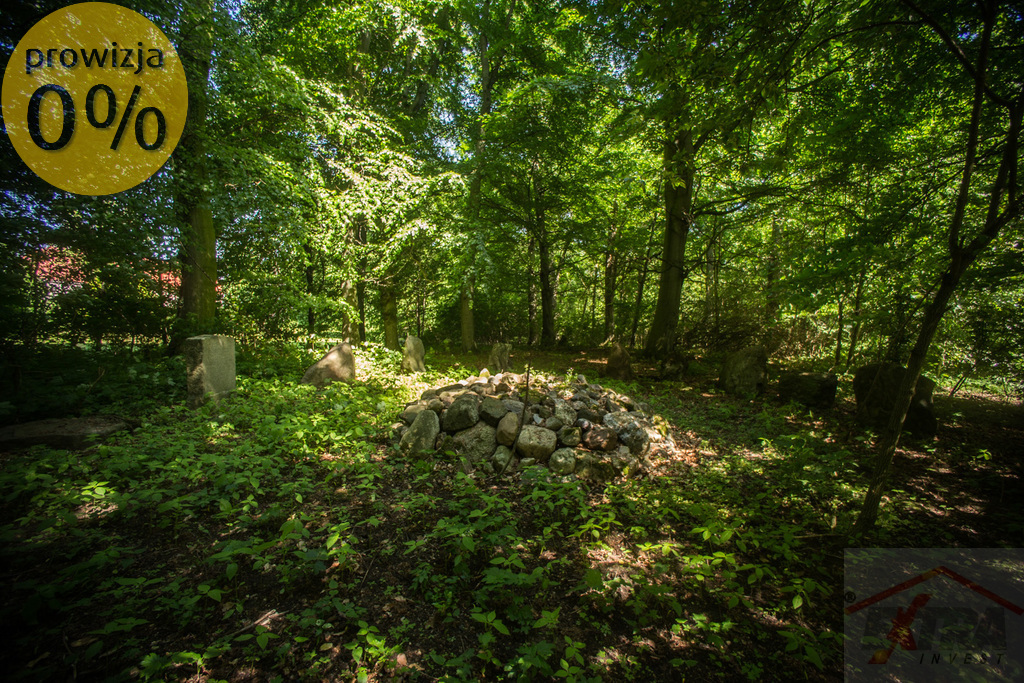 Majątek koło Choszczna w tym 21 ha ziemi . (7)