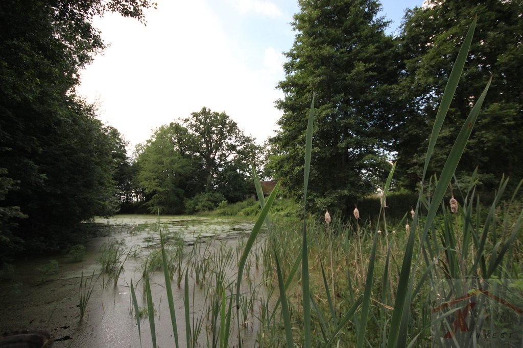 Manor with land in Przybyslaw, West Pomerania (16)