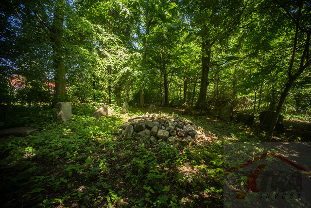 Manor with land in Przybyslaw, West Pomerania (8)