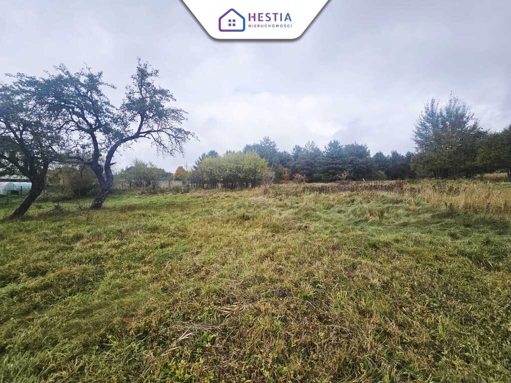 Dom wolnostojący z dużą działką. (7)