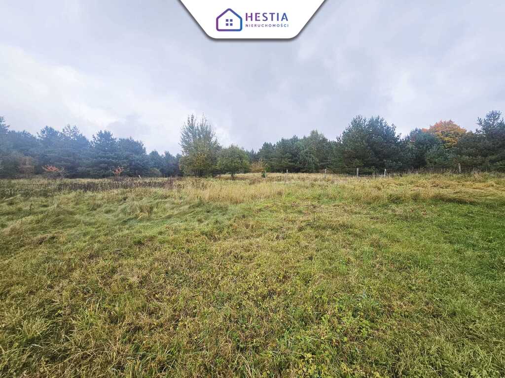 Dom wolnostojący z dużą działką. (8)