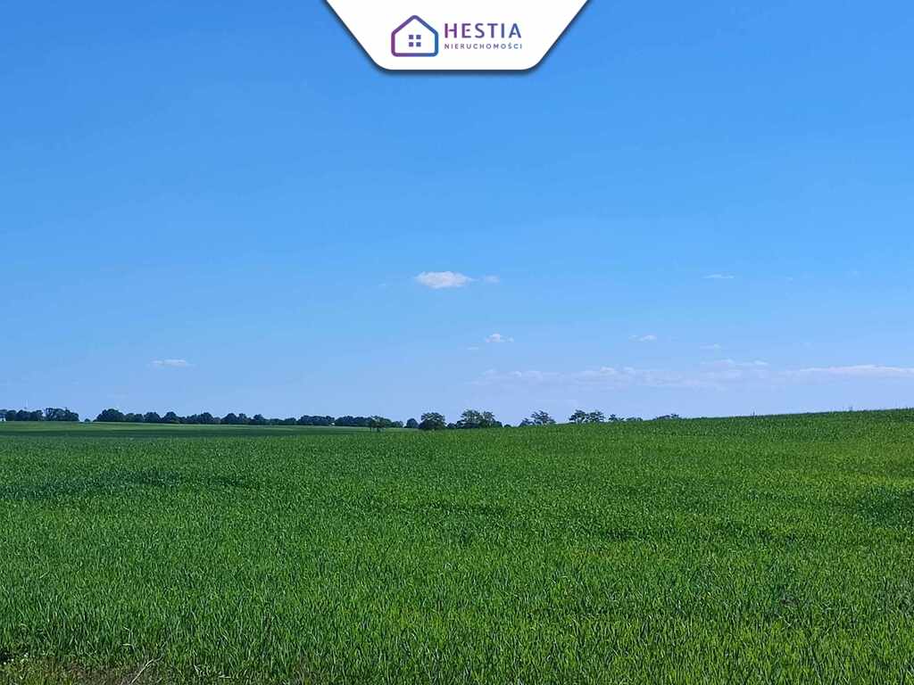 Tylko 85 zł za m2 działki w Grabowie (9)