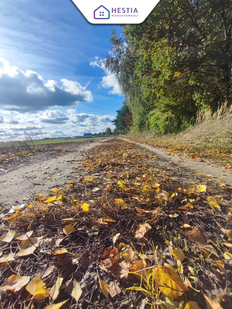 Tylko 85 zł za m2 działki w Grabowie (6)