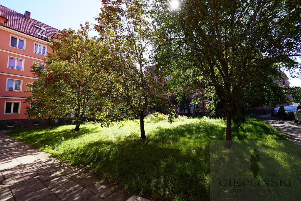 2 POKOJE PRZY PARKU NA GRANICY POGODNA (14)