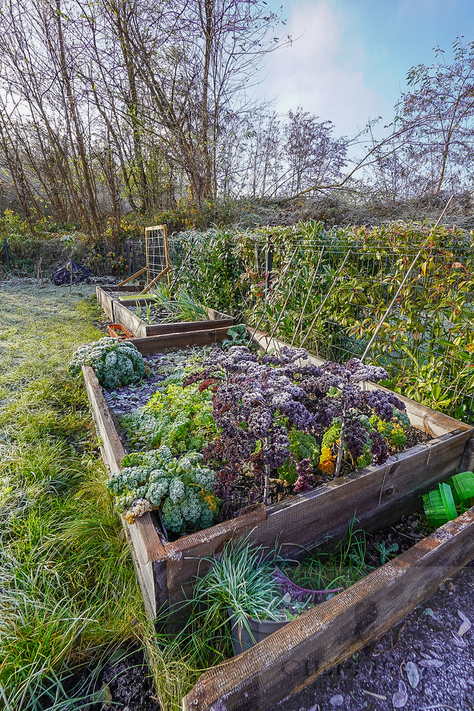 Nowoczesny Dom szeregowy  Siadło Dolne (29)