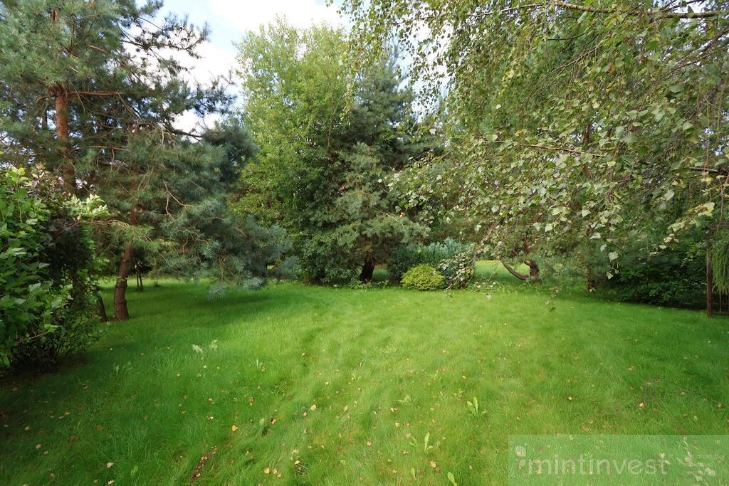 Zagospodarowana działka w Puszczy Goleniowskiej (2)