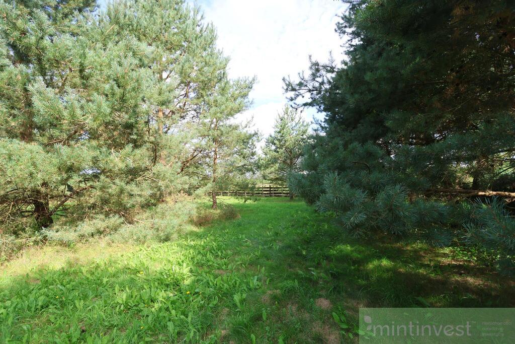 Zagospodarowana działka w Puszczy Goleniowskiej (3)