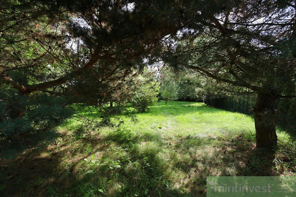 Zagospodarowana działka w Puszczy Goleniowskiej (4)