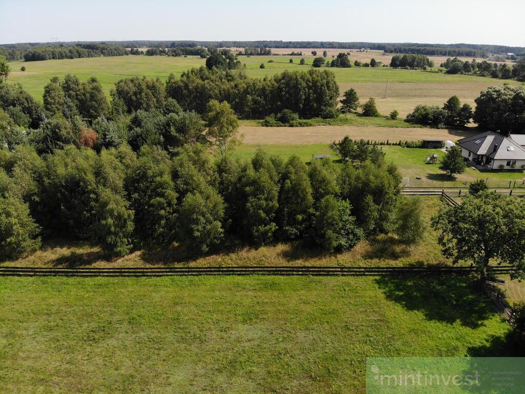 Działka pod zabudowę w Puszczy Goleniowskiej (3)
