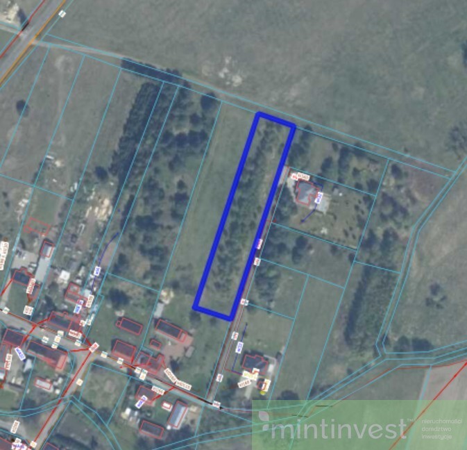 Działka pod zabudowę w Puszczy Goleniowskiej (5)