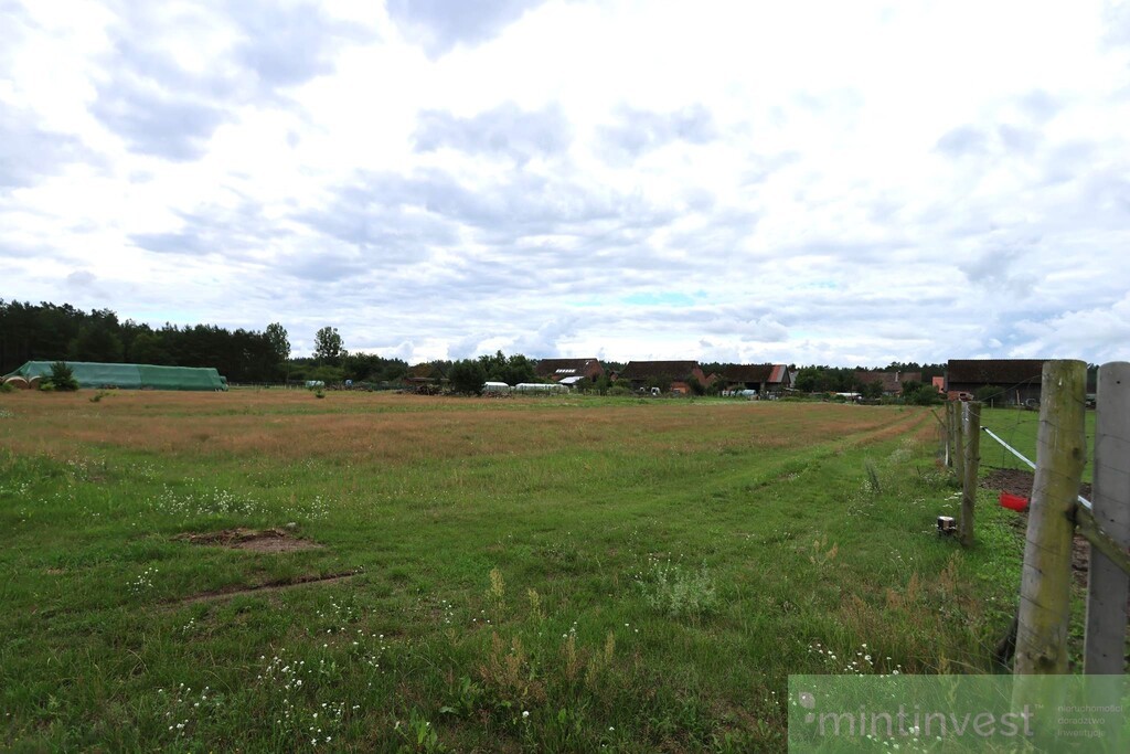 Urokliwie położona działka w Wierzchosławiu (3)