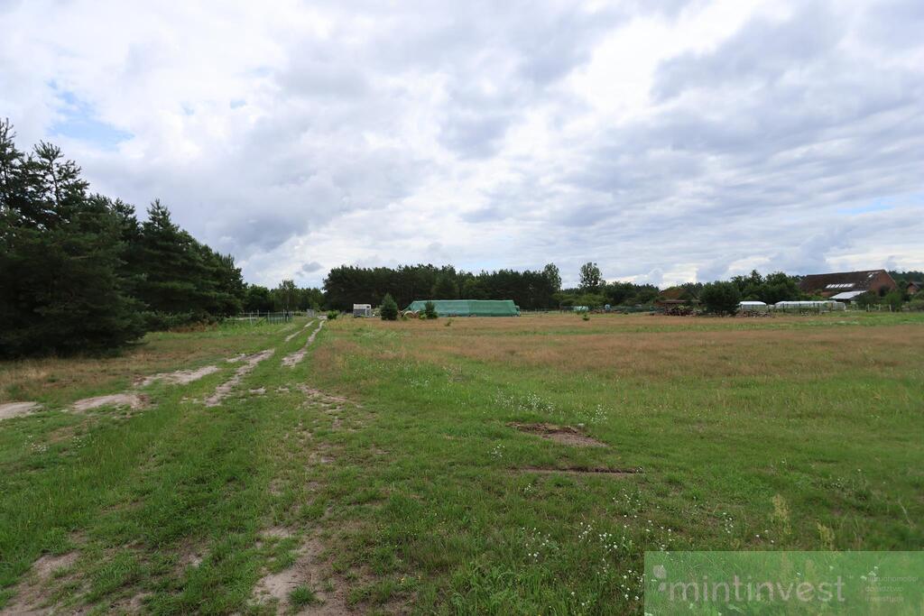 Urokliwie położona działka w Wierzchosławiu (4)