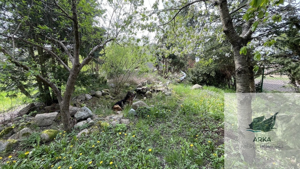 Łeknica, działka bud./inwest. z budynkiem gosp. (8)