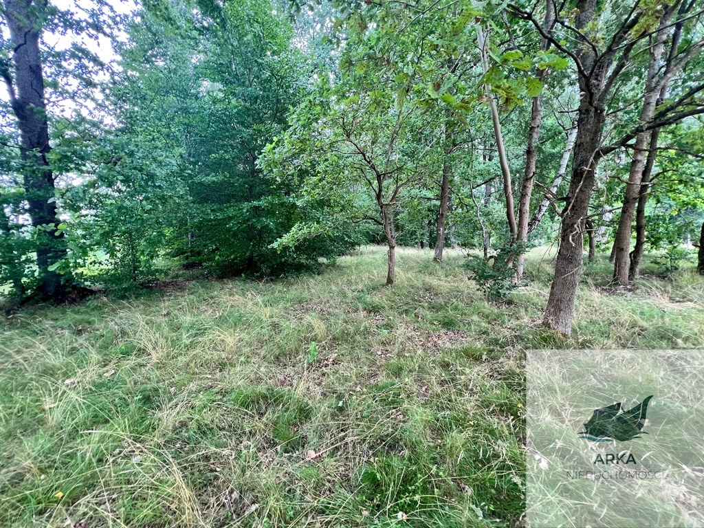 Storkowo, działka 3566 m2 z mediami (2)