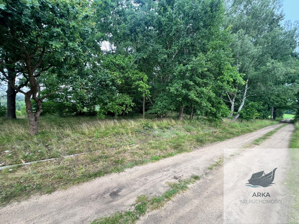 Storkowo, działka 3566 m2 z mediami (4)