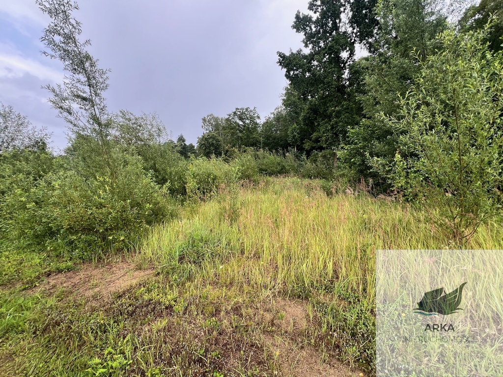 Storkowo, działka 3566 m2 z mediami (5)