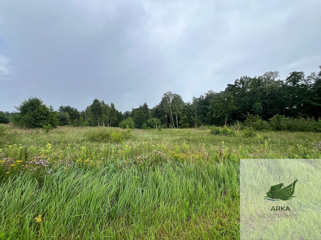 Storkowo, działka 3566 m2 z mediami (6)