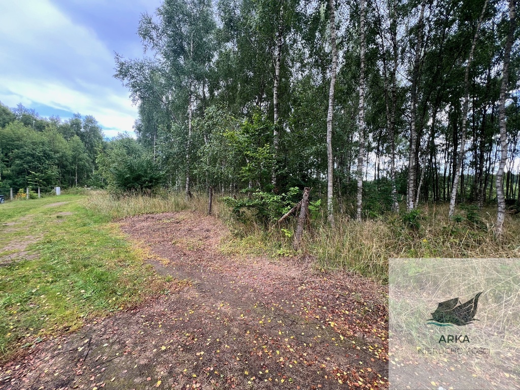 Działka blisko Inska o pow. 3412 m2 (2)