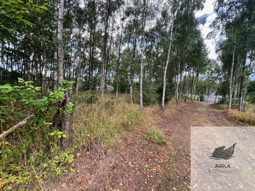 Działka blisko Inska o pow. 3412 m2 (3)