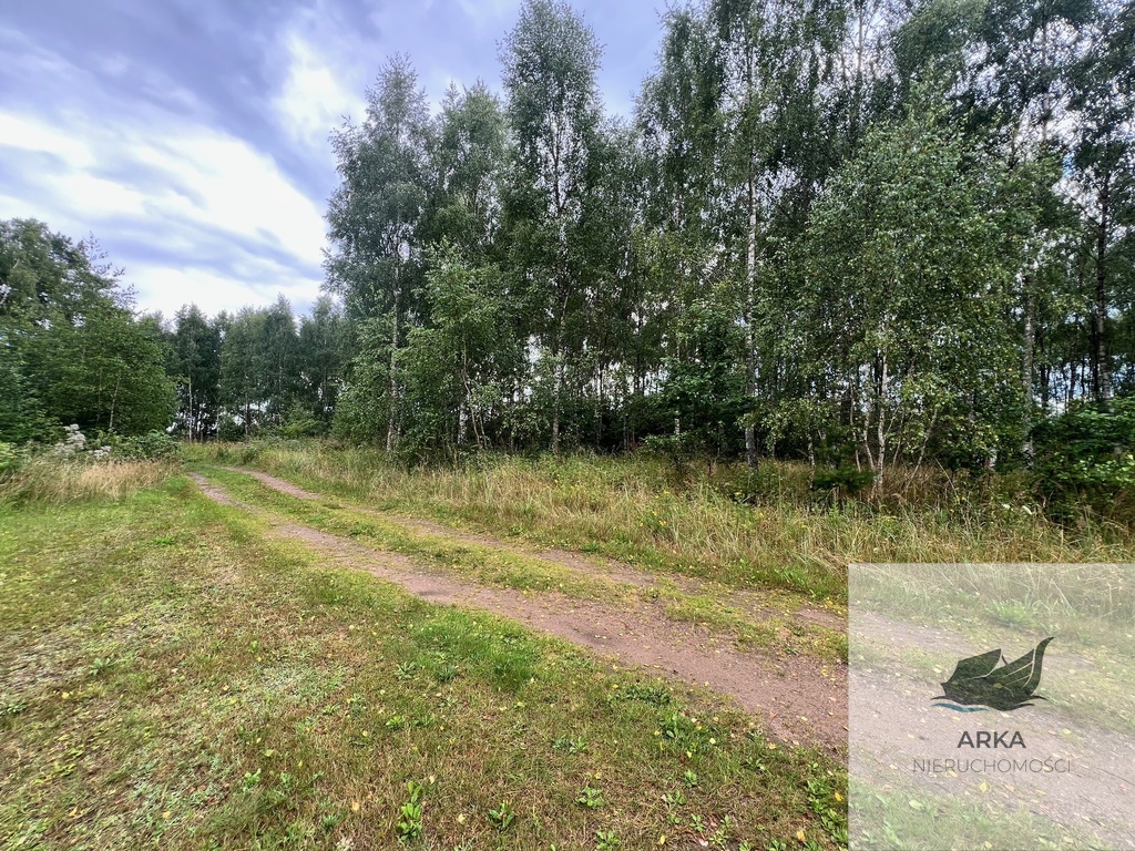 Działka blisko Inska o pow. 3412 m2 (4)