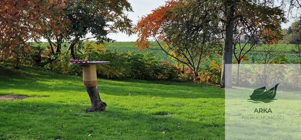 Urokliwy dom z duszą i dużą działką (16)