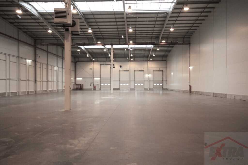 Hala wysokiego składowania k/Szczecina (1)