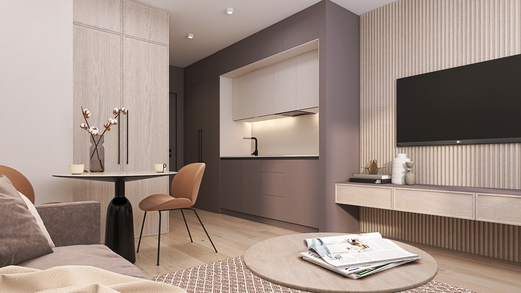 Mieszkanie 1 pokojowe (Nowa kamienica w centrum) (4)