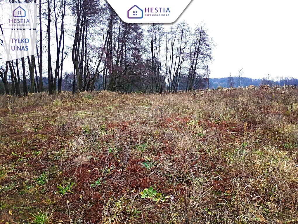 Malownicza Działka na Obrzeżach Stargardu (4)