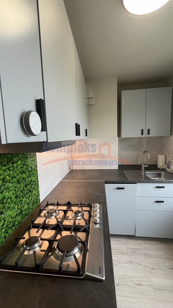 Pogodno - 2 pok.wynajem, balkon -po remoncie. (5)