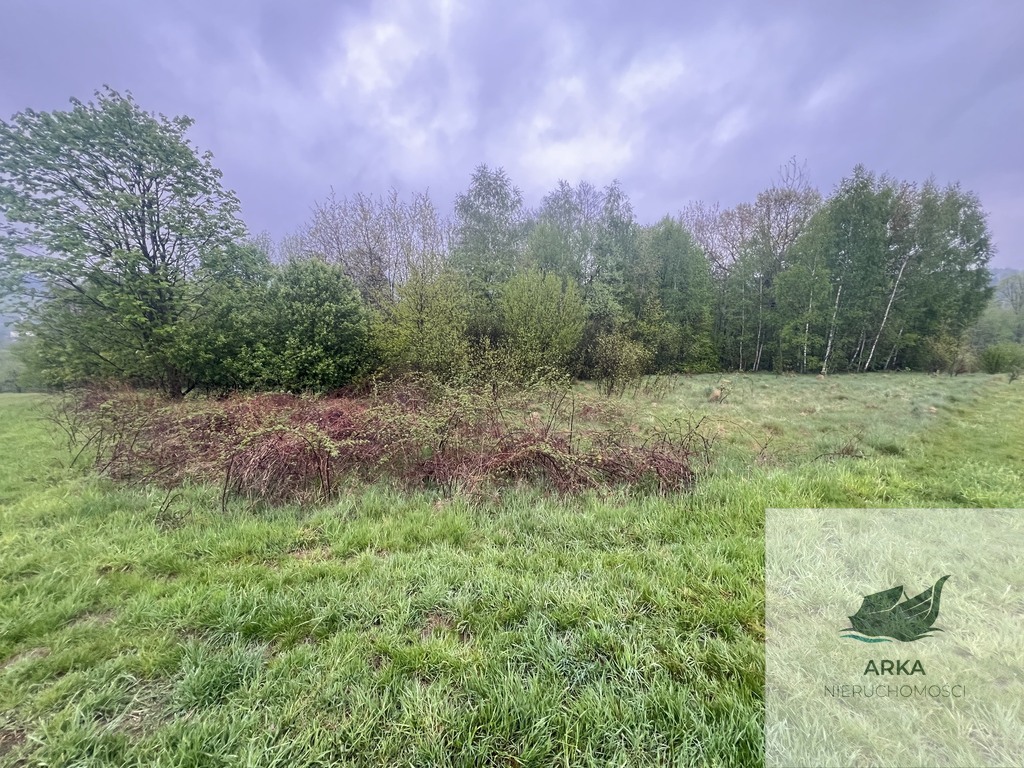 Działka rolna z widokiem na góry (7)