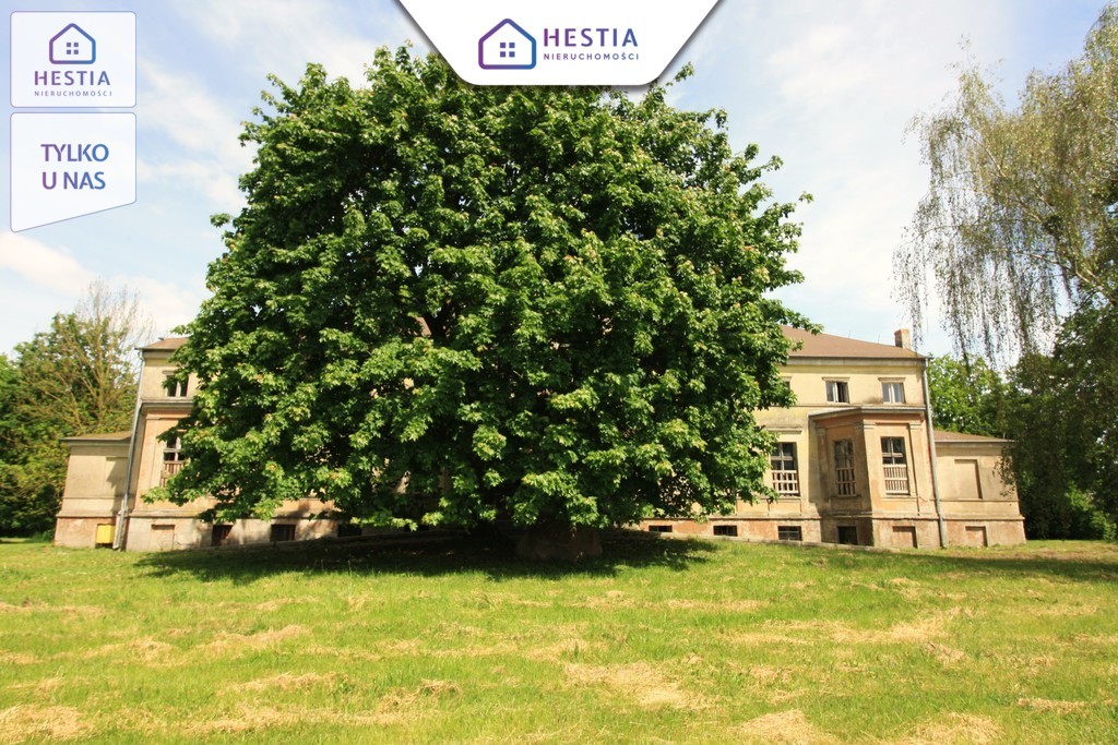 Sprzedaż pałacu, wyjątkowa nieruchomość-Nowa cena (3)