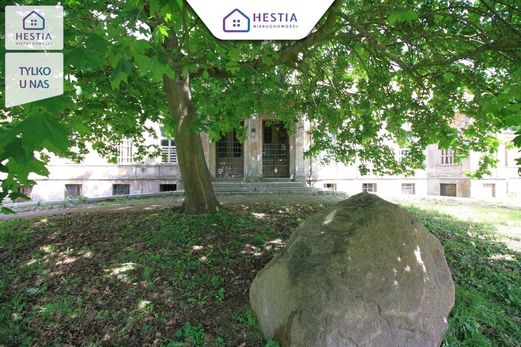 Sprzedaż pałacu, wyjątkowa nieruchomość-Nowa cena (4)