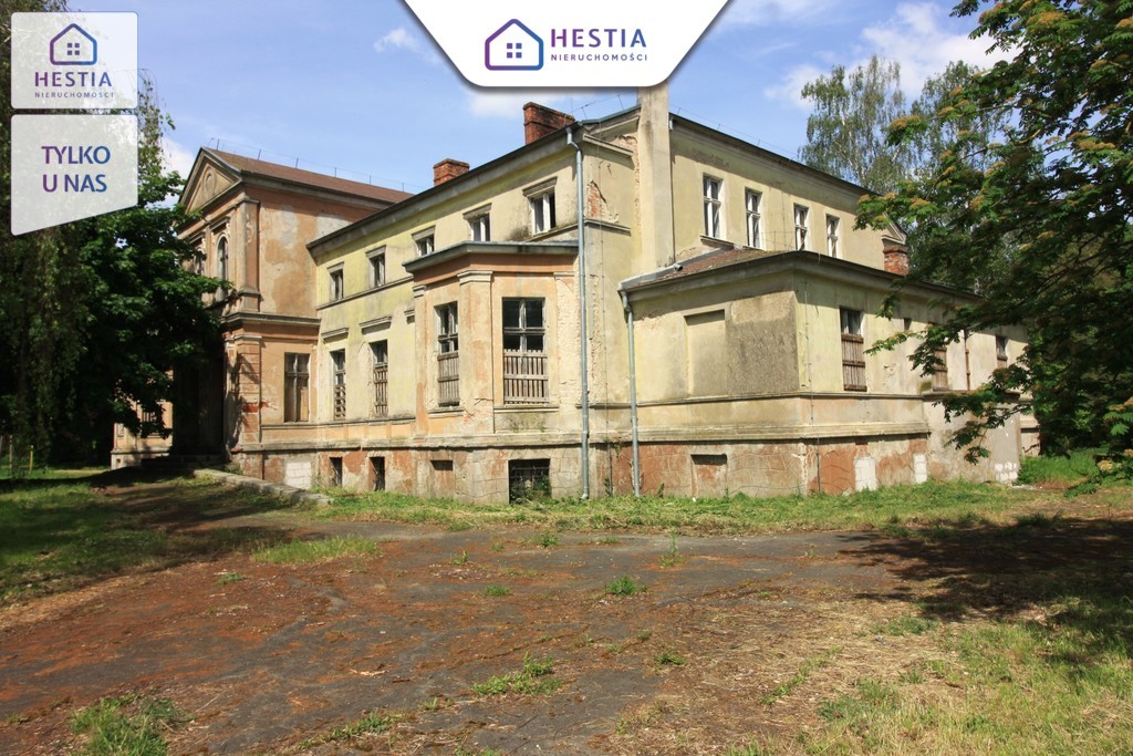 Sprzedaż pałacu, wyjątkowa nieruchomość-Nowa cena (1)