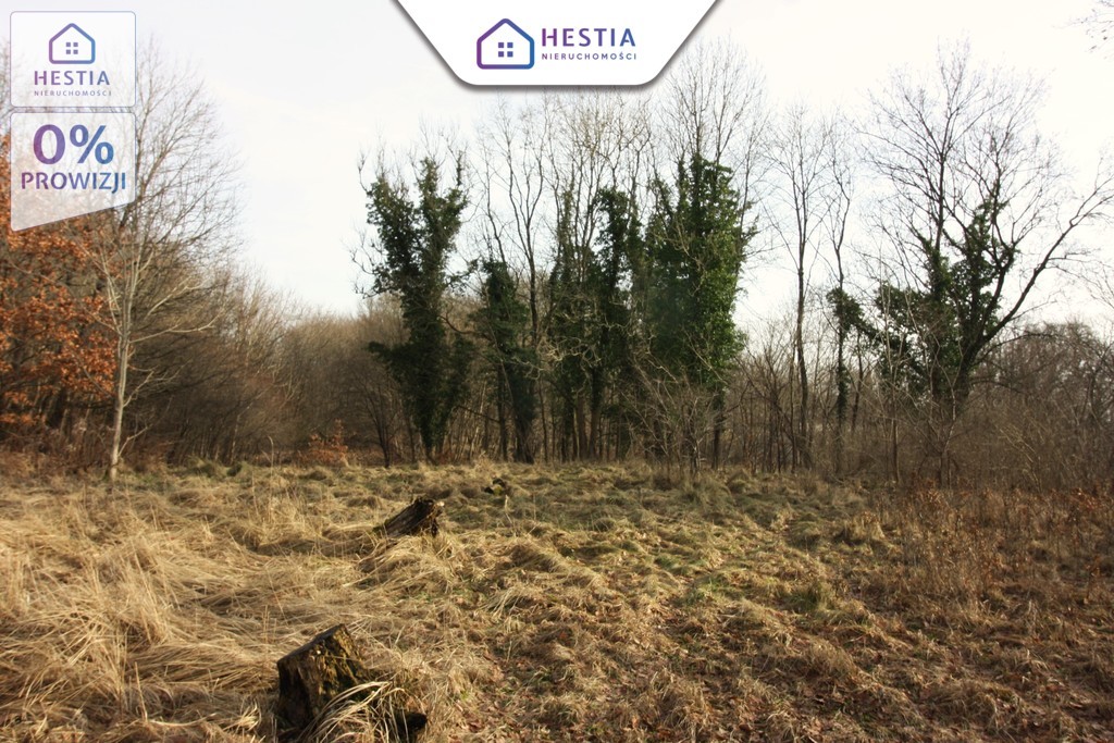 Sprzedaż pałacu z XIX wieku do remontu. (17)