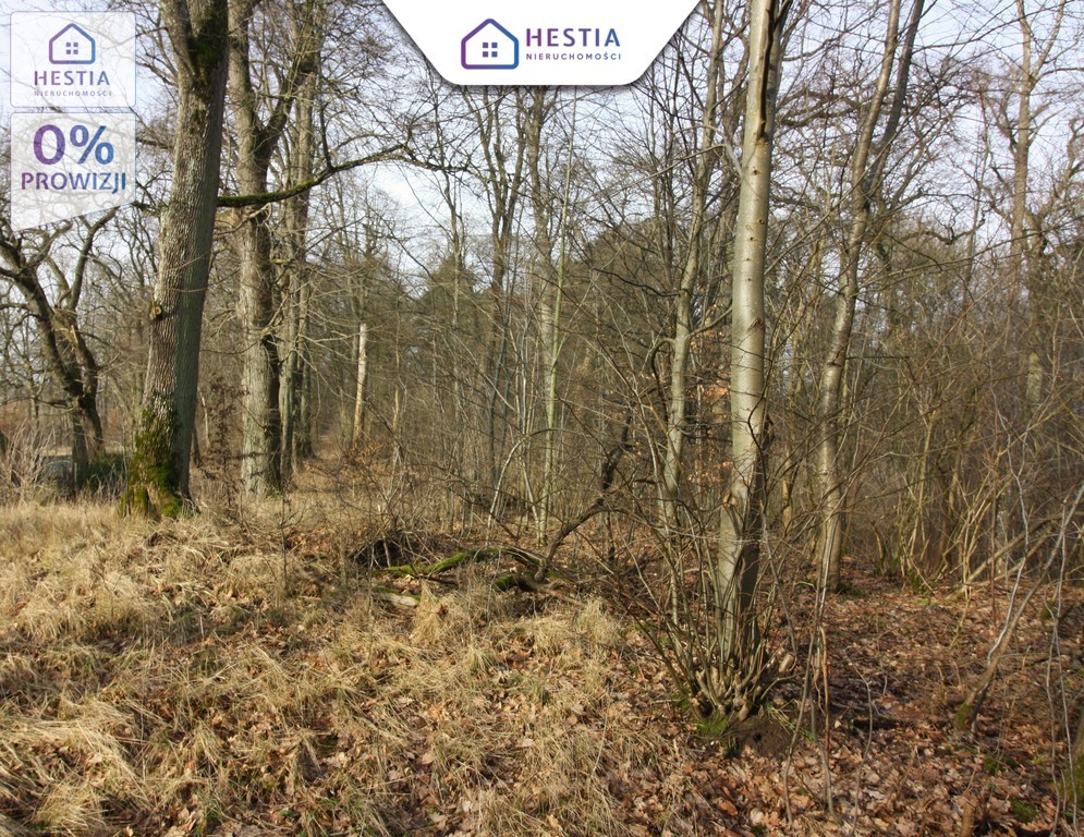 Sprzedaż pałacu z XIX wieku do remontu. (18)