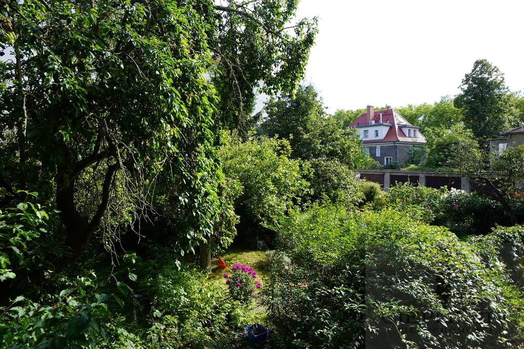 Duże 110 metrowe mieszkanie przy Jasnych Błoniach (12)