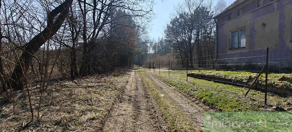 Działka z warunkami zabudowy (7)