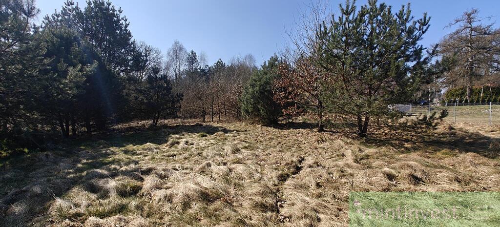 Działka z warunkami zabudowy (11)