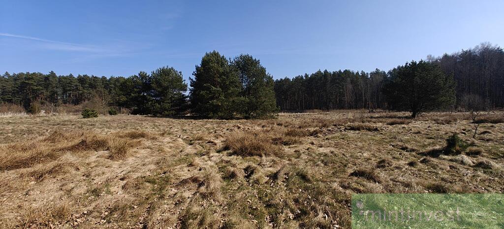 Działka z warunkami zabudowy (12)