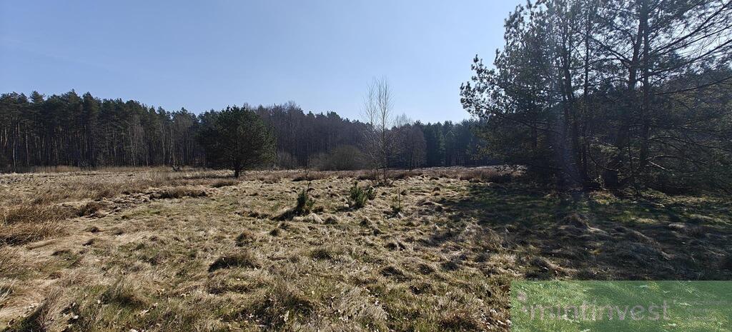 Działka z warunkami zabudowy (13)