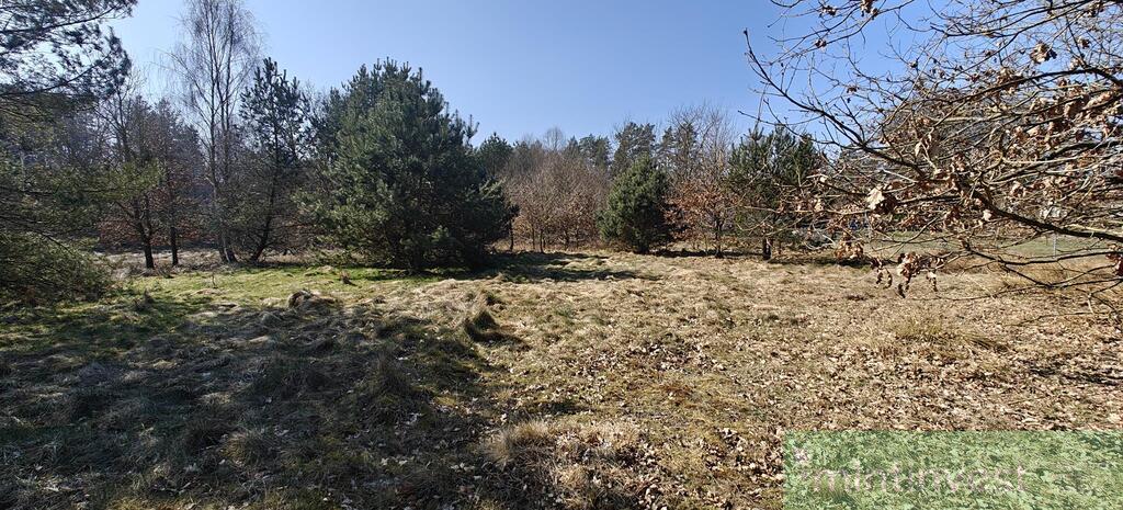 Działka z warunkami zabudowy (14)