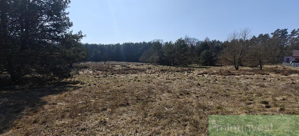 Działka z warunkami zabudowy (16)