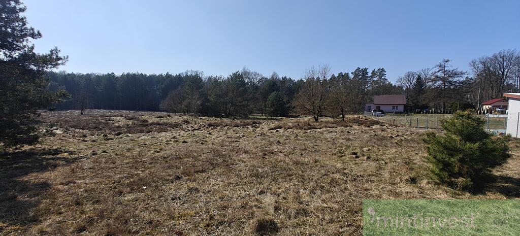 Działka z warunkami zabudowy (19)